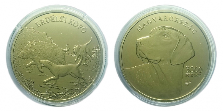 2023 Erdélyi kopó 3000 forint
