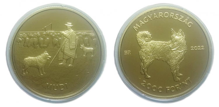 2022 Mudi 2000 forint