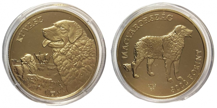 2025 Kuvasz 3000 forint