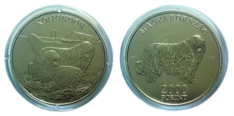 2020 Komondor 2000 forint