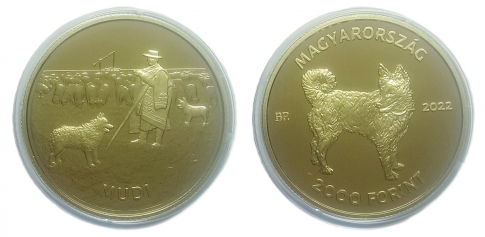 2022 Mudi 2000 forint